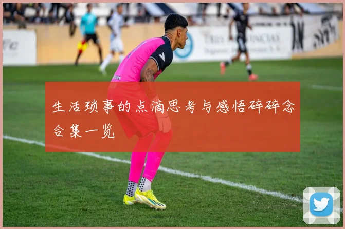 生活琐事的点滴思考与感悟碎碎念合集一览
