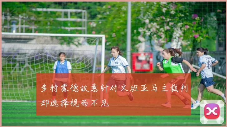 多特蒙德故意针对文班亚马主裁判却选择视而不见